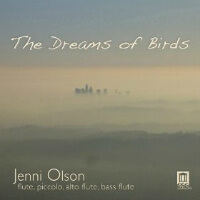 The Dreams of Birds - Album Cover