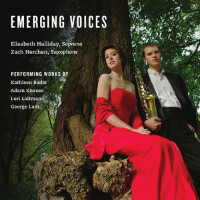 Cover Art Emerging Voices