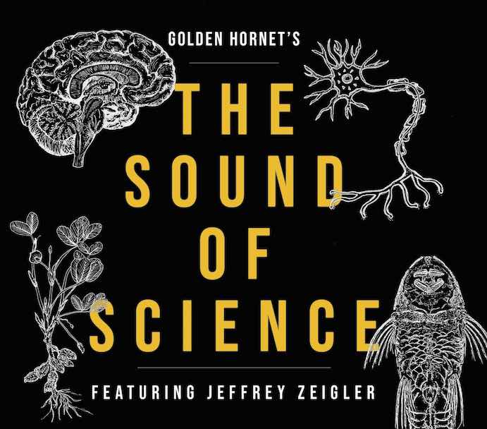 Golden Hornet The Sound of Science