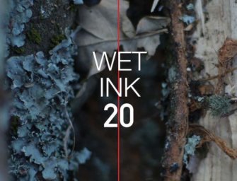 Wet Ink 20: A Celebration of Creativity and Collaboration (Carrier Records)