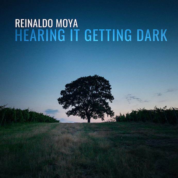 Reinaldo Moya Hearing it Getting Dark