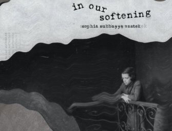 Sophia Subbayya Vastek’s “In Our Softening” Finds Tenderness in an Abandoned Piano