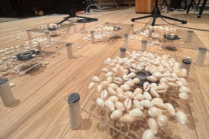 Cowrie shells placed on glass platforms for Corie Rose Soumah’s "porcelains/eco/#still magical" -- Photo courtesy Columbia Composers