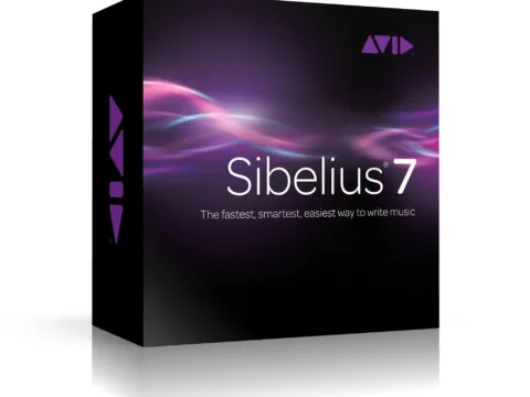 Sib7_3D_US_L