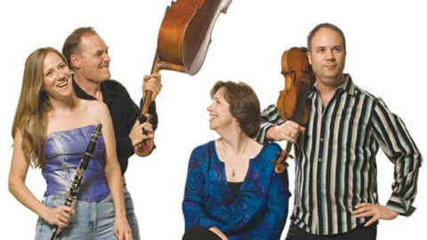 Ensemble SOLI