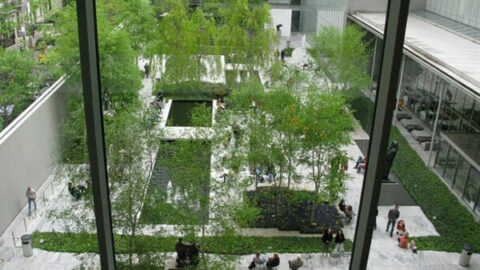 MoMA Summergarden