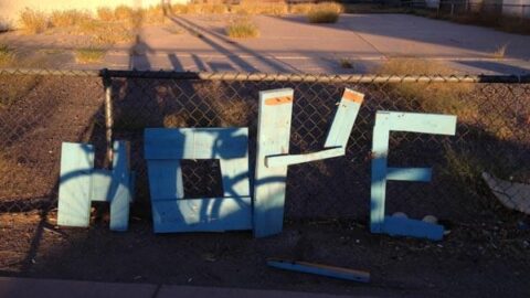 Phoenix - Photo by Elizabeth Kennedy Bayer