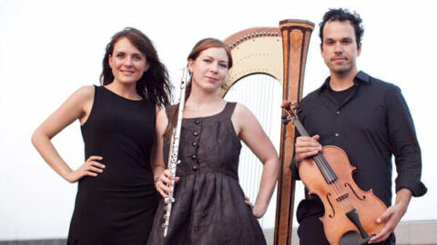 Trio Kavak