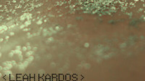 Leah Kardos: Machines Cover