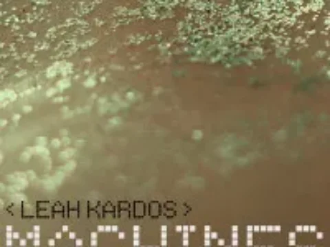 Leah Kardos: Machines Cover