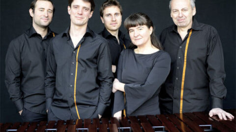 Les Percussions Claviers de Lyon - Photo by Ariane Mestre