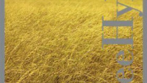 Life on the Plains Cover