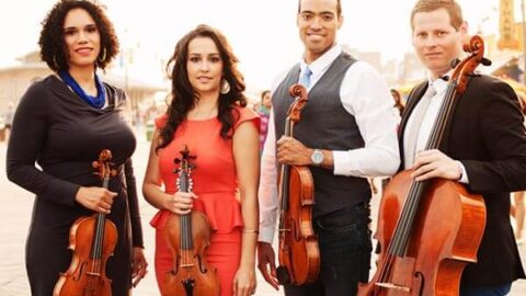 Catalyst Quartet