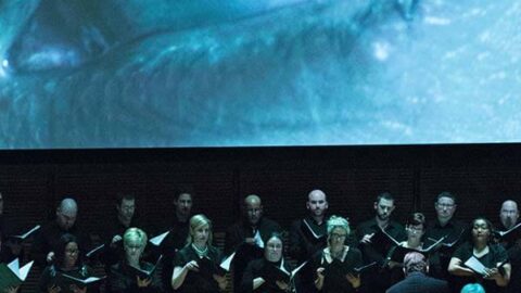 ACO - Photo by Christopher Smith