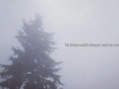 The Tortoise and His Raincoat: Music for a Very Long Walk