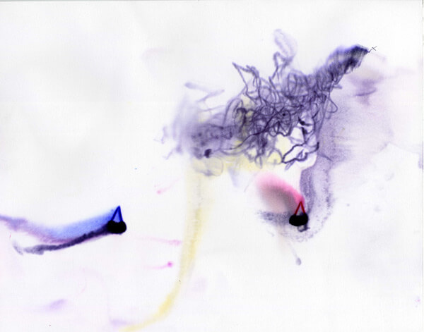 "Anomaly Series #6" ink and ethanol on Bristol, 2014 (photo: Matthew Gallagher)