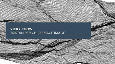 Tristan Perich/Vicky Chow: Surface Image