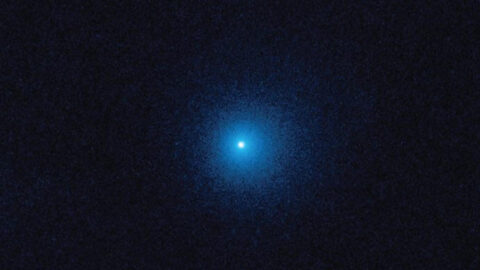 The Oort Cloud