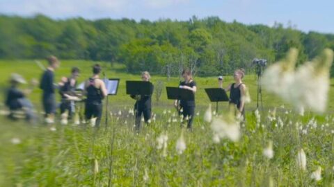 American Wild Ensemble