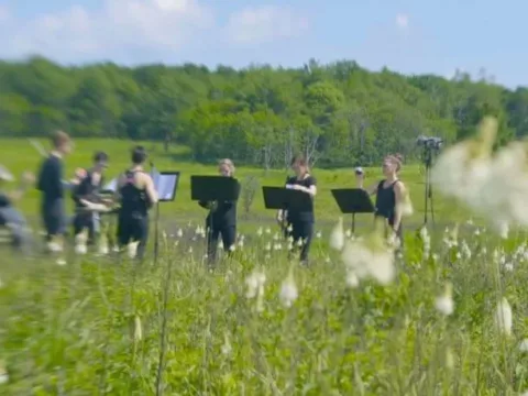 American Wild Ensemble