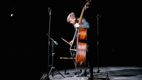 Dario Calderone