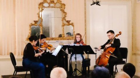 Momenta Festival IV