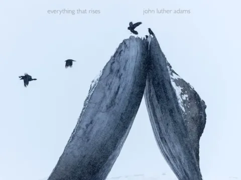 Everything the Rises