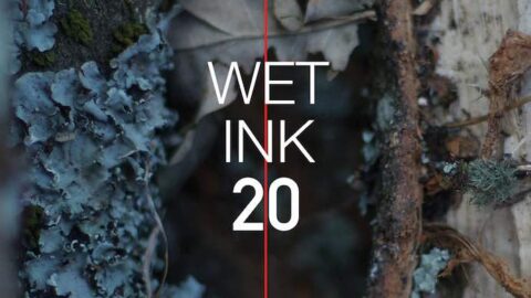 Wet Ink 20