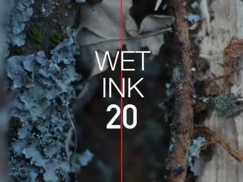Wet Ink 20