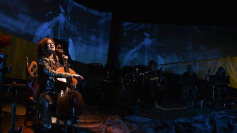 Leah Coloff's ThisTree at PROTOTYPE 2019
