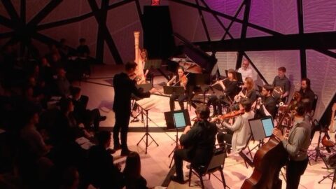 Wavefield Ensemble