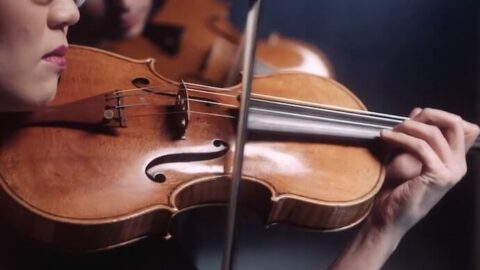 Argus Quartet performs Andrew Norman's Peculiar Strokes
