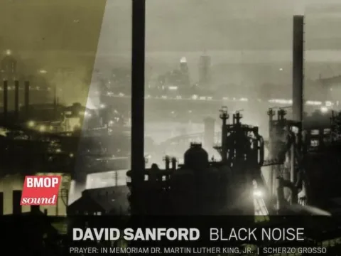 David Sanford Black Noise
