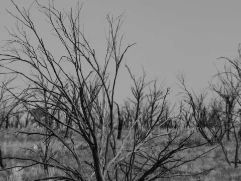 Hollows out of time