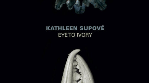 Kathleen Supové Eye to Ivory