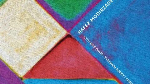 Hafez Modirzadeh Facets