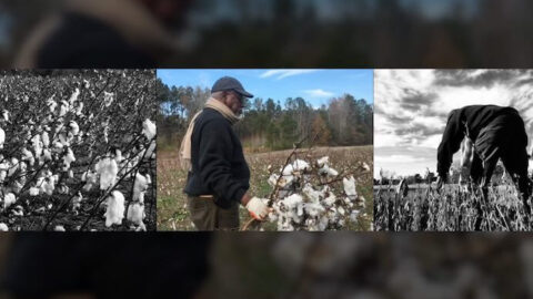 Rashon Briggs Cotton Comes Home--Screenshot courtesy New Gallery Concert Series
