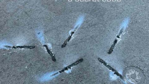 Pamela Z A Secret Code