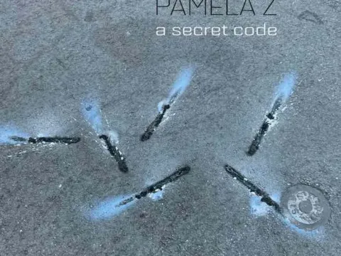 Pamela Z A Secret Code