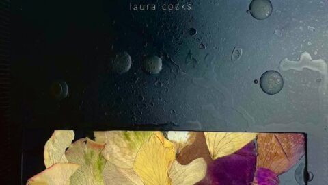 Laura Cocks field anatomies
