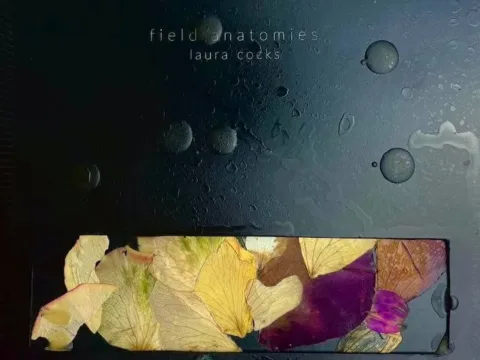 Laura Cocks field anatomies