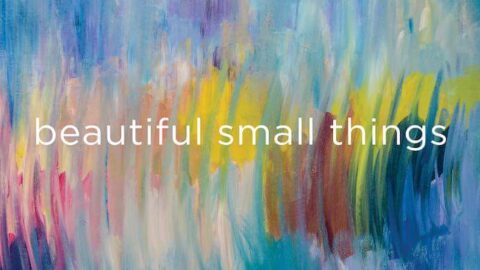 LYNX Project's beautiful small things
