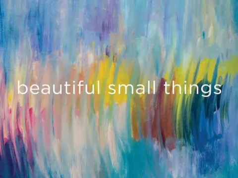 LYNX Project's beautiful small things
