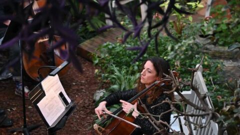 Nonclassical presents The Greenhouse Effect--Photo by Mark Allan/Barbican