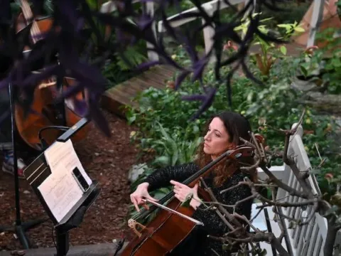 Nonclassical presents The Greenhouse Effect--Photo by Mark Allan/Barbican