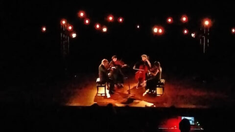 Quatuor Bozzini -- Photo by Jackie Newbould