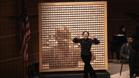 Lucy Fitz Gibbon with ACO, sculpture wall by Daniel Rozin -- Photo by Alfred Kan