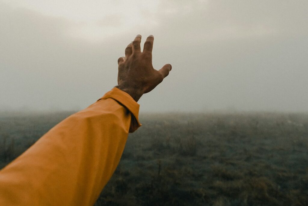 Photo by Clay Banks, courtesy of Unsplash