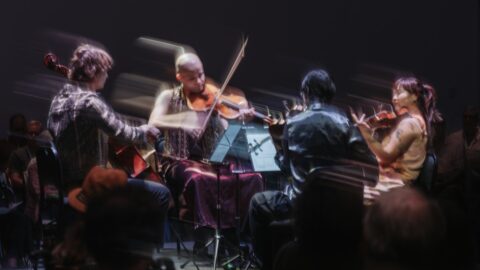Poiesis Quartet -- Photo by Curtis Perry