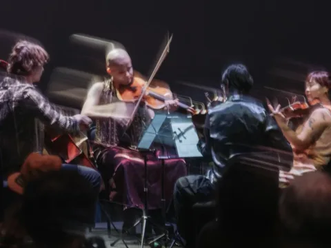 Poiesis Quartet -- Photo by Curtis Perry